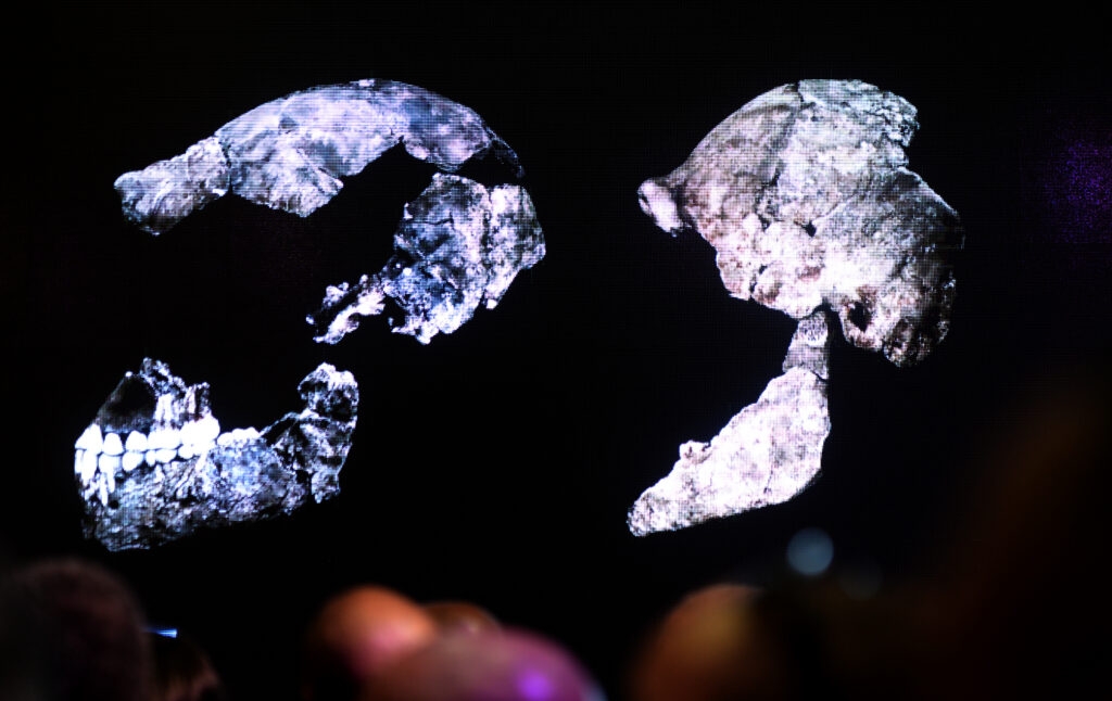The no-prisoner Naledi wars