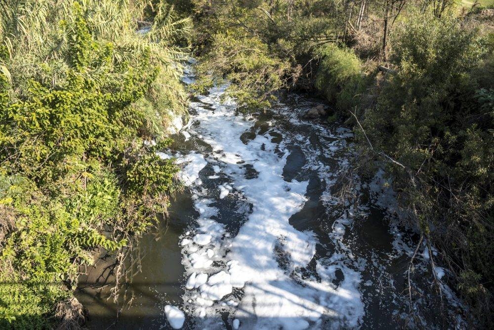 Our rivers are dying — and so are the fish we've never heard of