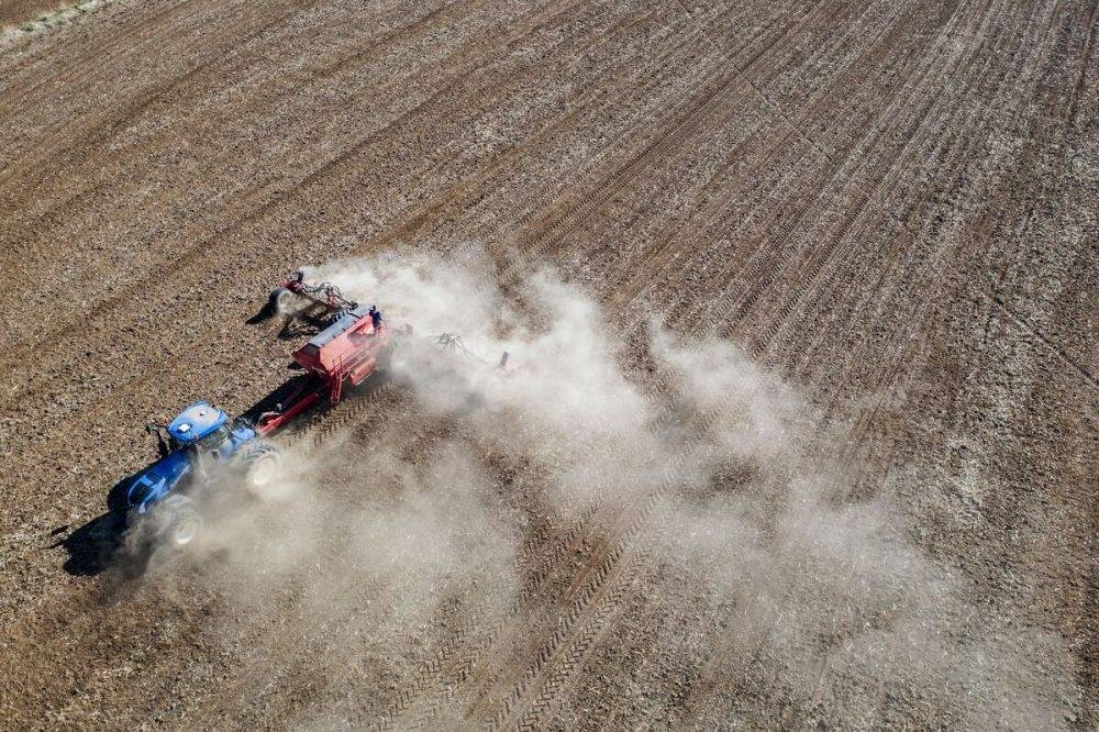 Rise of canola production in SA an inspiration for other value chains