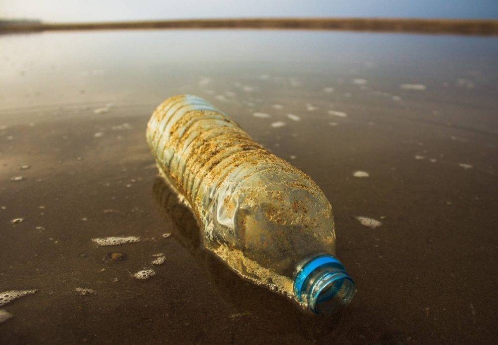 Beyond the bin: Rethinking bioplastic waste for a circular future