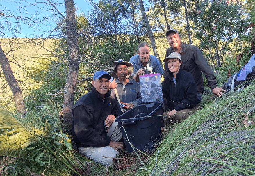 Wildlife surprise: Elusive forest shrew found in Western Cape
