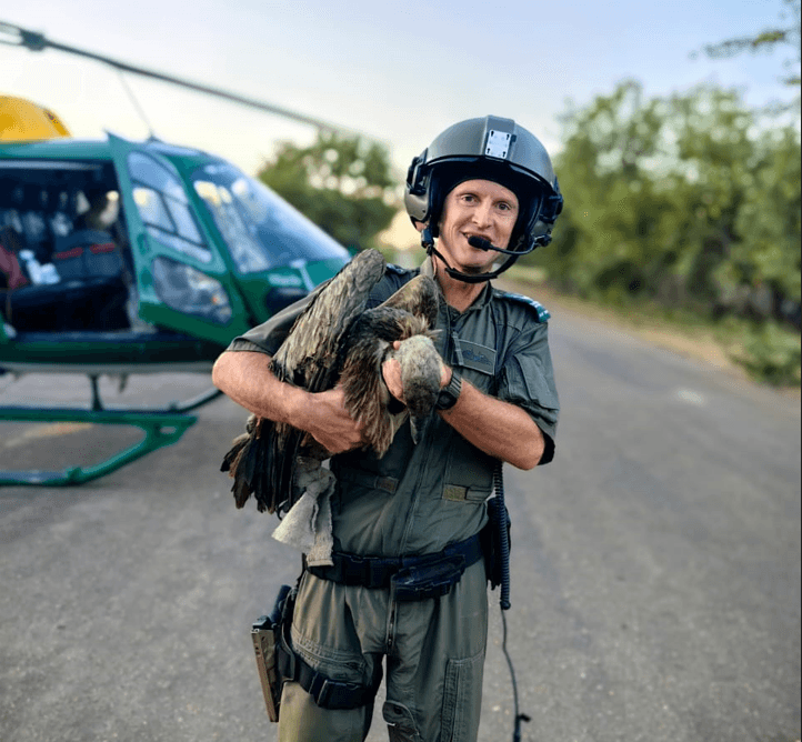 Mass vulture poisoning in Kruger triggers historic wildlife-rescue operation
