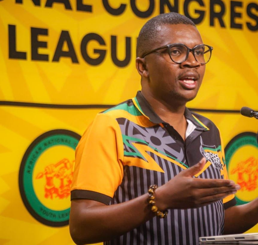 Malatji: Nkabane ‘cowardly' for withdrawing ANC linked appointments as Seta board chairs
