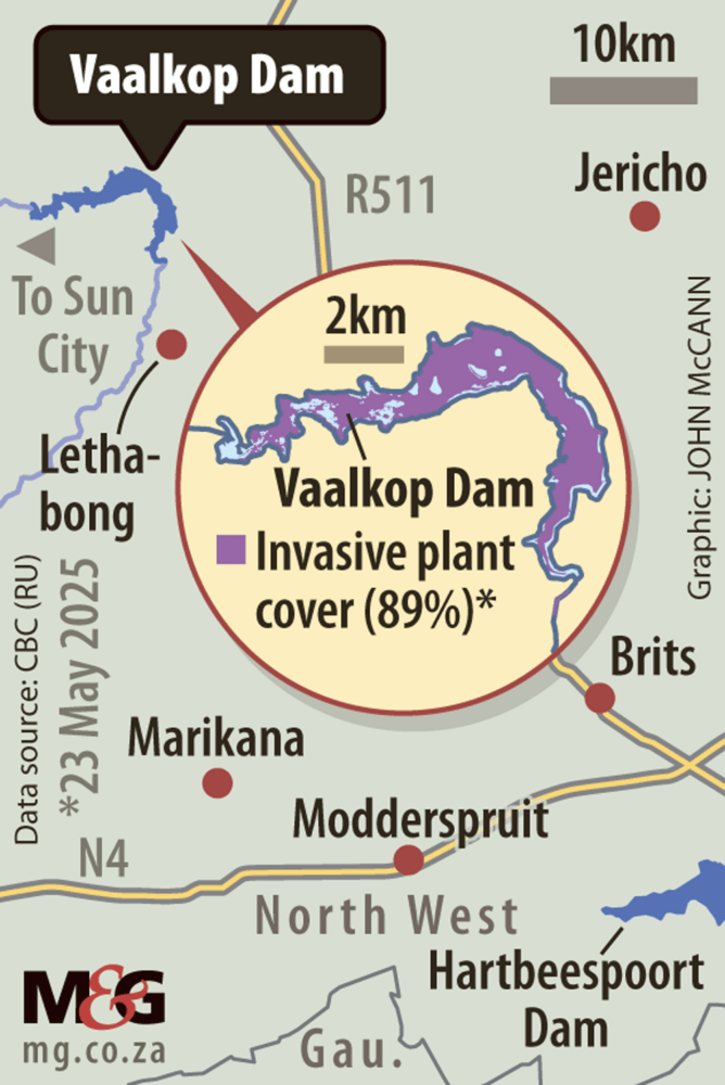 New water crisis threatens as invasive plants overrun North West's Vaalkop Dam