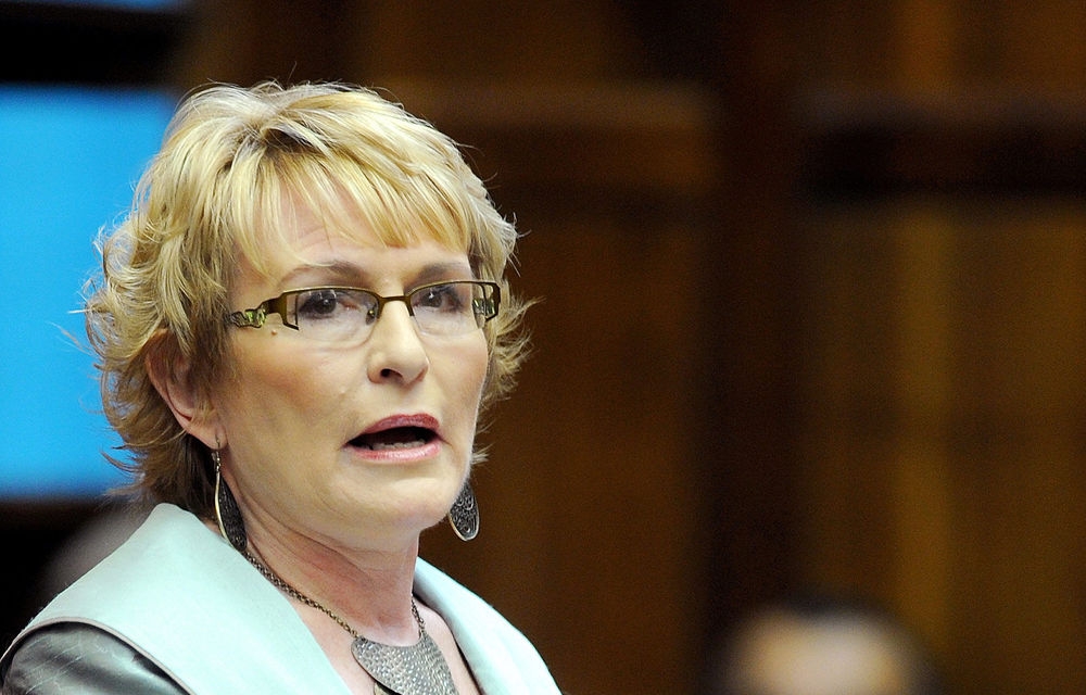 Helen Zille's mayoral bid divides DA
