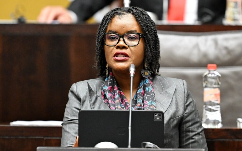 Nkabane's axing saves budget as first phase of Appropriations Bill is approved