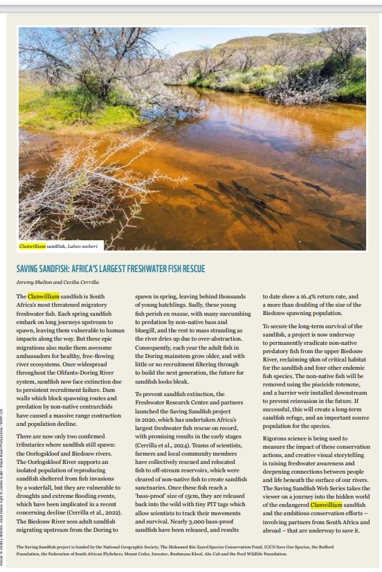 Africa's freshwater fish crisis: 26% of species threatened with extinction