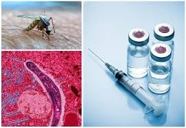 Southern Africa through the South African Medical Research Council marks a decade of malaria research and collaboration