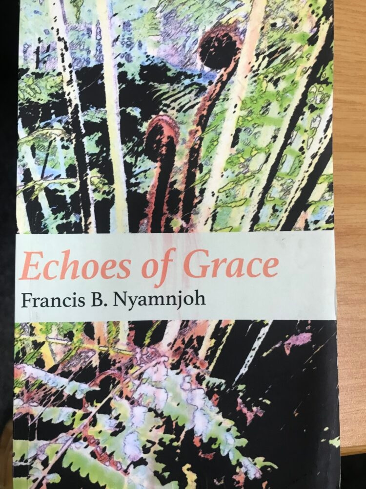 Francis Nyamnjoh's novel a new grace for the old order