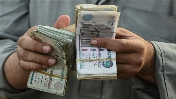زيادة 15%… حقيقة علاوة القطاع الحكومي بداية من شهر يوليو 2025