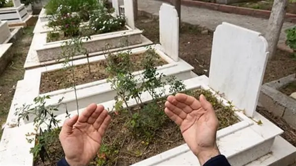 هل الأموات يسمعون كلام الأحياء؟.. الإفتاء تكشف الحقيقة