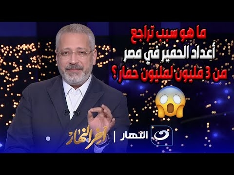 عددها انخفض من 3 ملايين إلى مليون واحد.. نقيب الفلاحين يكشف سر اختفاء 2 مليون حمار في مصر (فيديو)