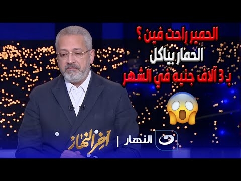 من الريف للمطاعم والأسواق العالمية.. سر اختفاء 2 مليون حمار في مصر (القصة كاملة)
