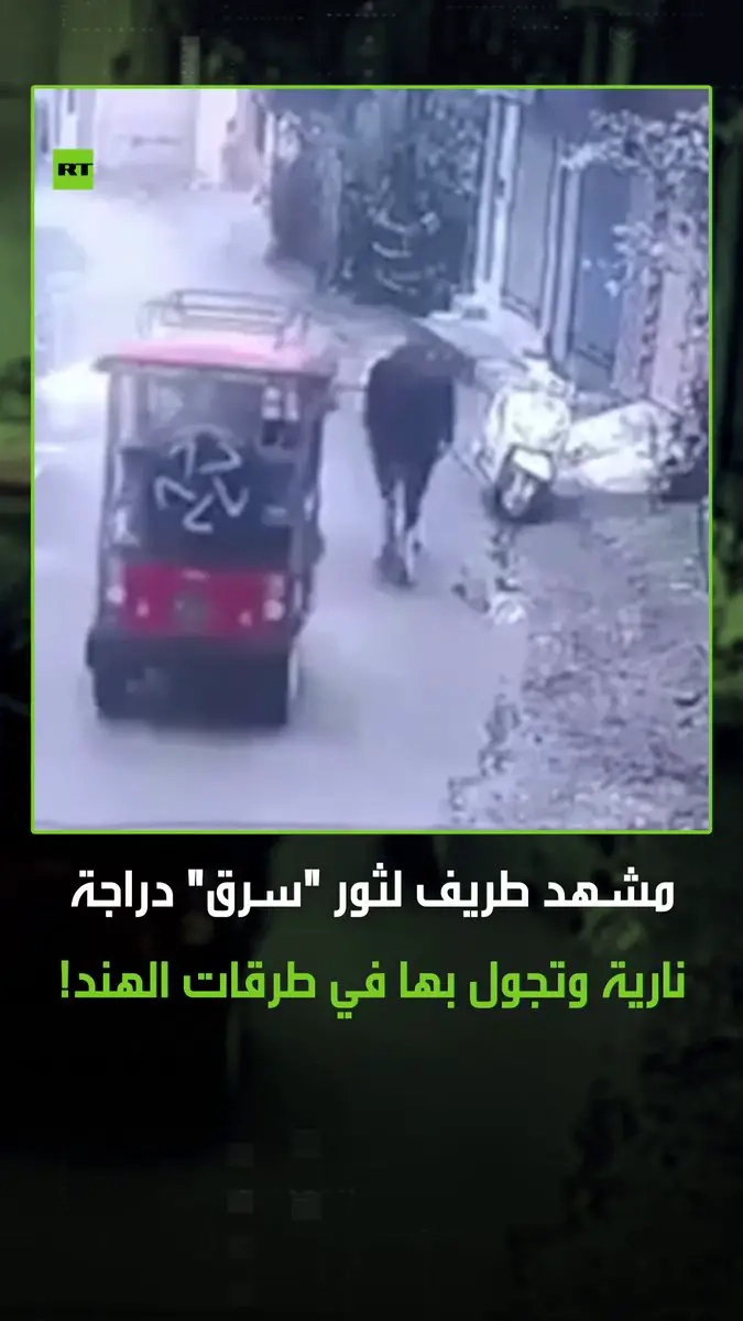 لقطات متداولة صورتها كاميرا مراقبة في الهند تظهر قيام ثور ب'سرقة' دراجة نارية، حيث بدأ بالتحرك بها في جولة على الطريق قبل أن تنتهي مغامرته بالاصطدام بمبنى ليتمكن من النزول منها والفرار. #ثور #الهند #دراجة #فيديو #ترند