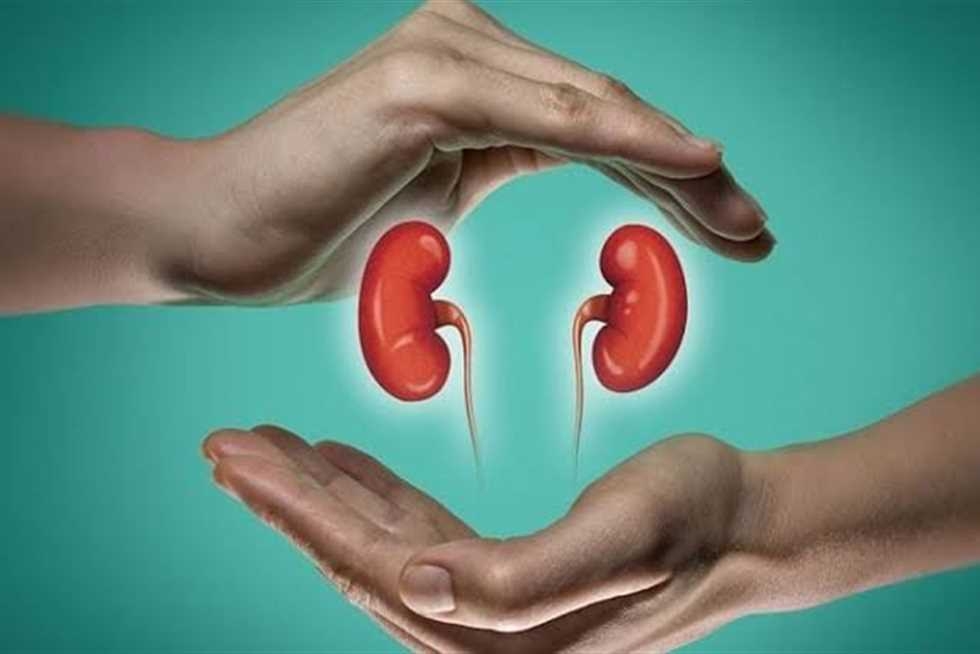 للوقاية من الحصوات وتخفيف العبء على الكليتين.. أهم المشروبات لمرضى الكلى