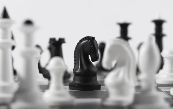 نظرية الحصان الميت.. لماذا تصر بعض الإدارات على الاستمرار في مشاريع فاشلة؟