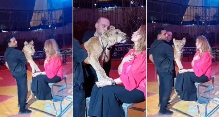 كم كنت مباركة من الرب … مادلين طبر تستعيد ذكريات عضة أسد لها: اتعالجت في 6 أسابيع