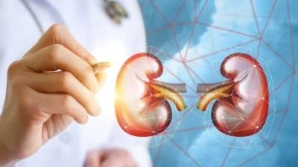 أبرزها الشعور بالتعب.. 10 علامات تؤكد وجود مشاكل في الكلى
