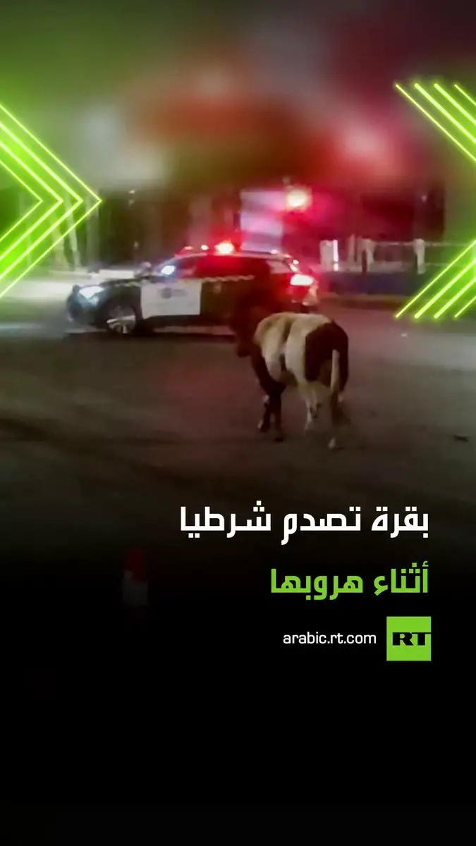 تصرف غير متوقع .. مشاهد لبقرة أثناء فرارها من حرائق جبال القدس، حيث صدمت شرطيا إسرائيليا بقوة وطرحته أرضا، في مشهد وثقته الكاميرات وسط حالة من الارتباك. #بقرة #شرطي #حرائق #ترند #فيديو #اكسبلور