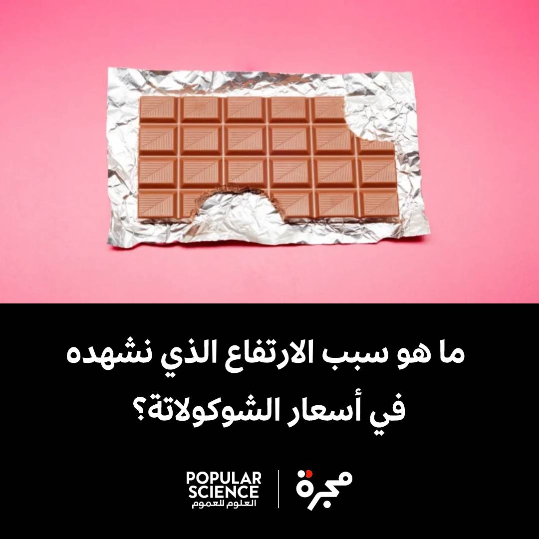 تراجع إنتاج الكاكاو وارتفعت أسعار الشوكولاتة بسبب ارتفاع درجات الحرارة وعدم انتظام هطول الأمطار والتأثيرات المناخية الأخرى.. توصل تقريران جديدان إلى أن الاحتباس الحراري يرفع درجات الحرارة إلى درجات خارج المجال الأمثل الذي يلائم نمو الكاكاو في البلدان الأكثر إنتاجاً للكاكاو.. يعوق التعرض لدرجات حرارة أعلى من 32 درجة مئوية نمو هذا النبات ويؤدي إلى تراجع جودة البذور وكميتها ويسبب الإجهاد المائي.. اكتشف الباحثون أنه بين 2015 و2024، أدى التغير المناخي إلى ازدياد الأيام التي تشهد فيها هذه البلدان درجات حرارة لا تلائم نمو الكاكاو بمعدل أسبوعين إلى أربعة أسابيع سنوياً.. يؤدي الاحتباس الحراري إلى تغيير أنماط هطول الأمطار وتكرر موجات الجفاف وتسهيل انتشار الأمراض وتدهور التربة.. لا تقتصر العواقب على إنتاج الشوكولاتة؛ فالكاكاو موجود في سلع مثل مستحضرات التجميل
