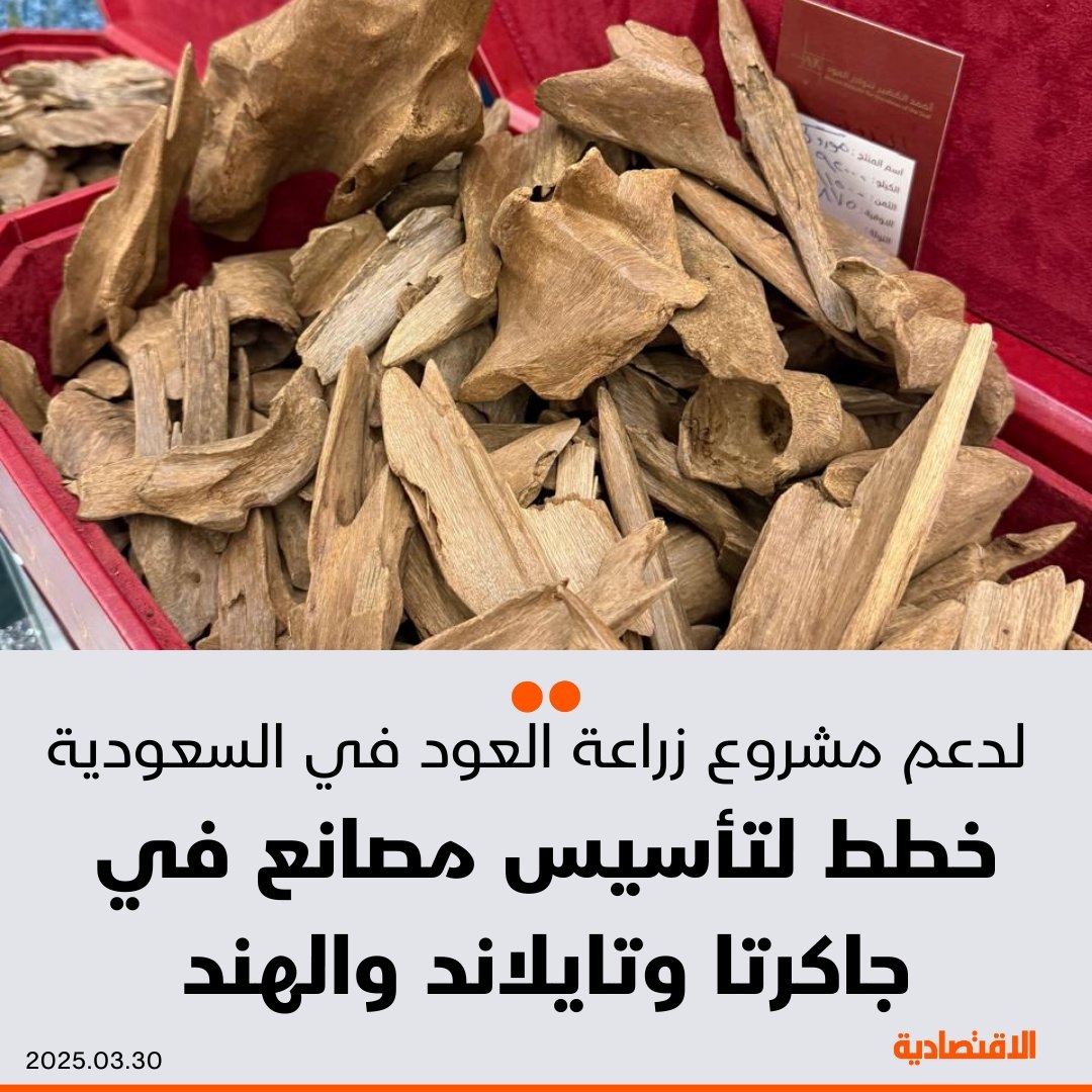 قرار حكومي بتجربة زراعة #العود في #السعودية، وخطط لتأسيس مصانع في جاكرتا وتايلاند والهند لدعم المشروع