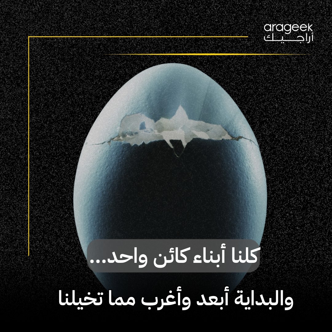 تخيّل أن كل البشر، بكل تنوعهم، يعودون إلى كائن واحد! الدراسات الجينية تكشف أن التنوع نتيجة هجرات وتكيّف، لكن الأصل؟ واحد