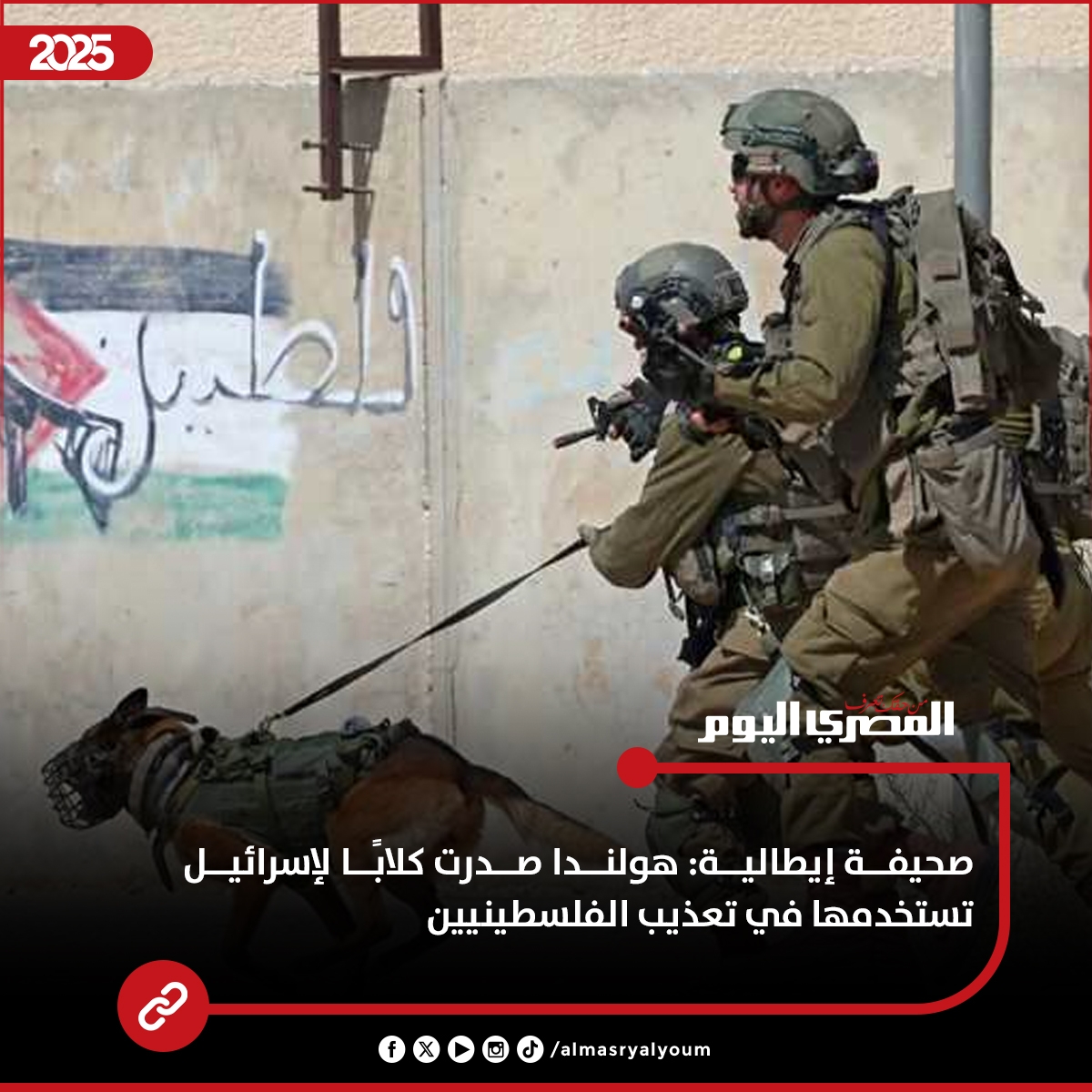 صحيفة إيطالية: هولندا صدرت كلابًا لإسرائيل تستخدمها في تعذيب الفلسطينيين #عاجل