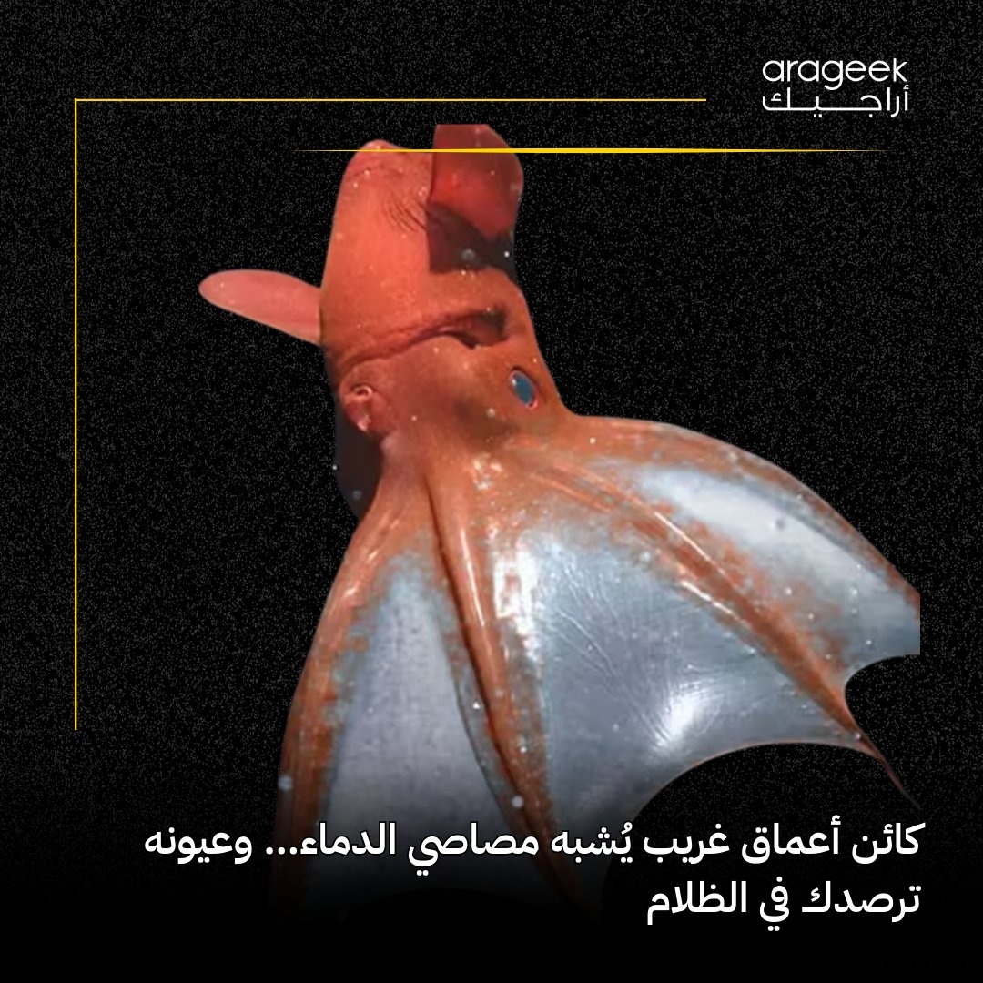 الحبار مصاص الدماء.. كائن بحري غامض وكأنه من عالم آخر، عيونه الضخمة تلمع بشكل مخيف! يبدو كأنه مخلوق من قصص الخيال العلمي أو أفلام الرعب، لكن الحقيقة أنه أحد الكائنات البحرية النادرة ! #كائنات_بحرية #حبار_مصاص_الدماء #اكتشافات #علوم