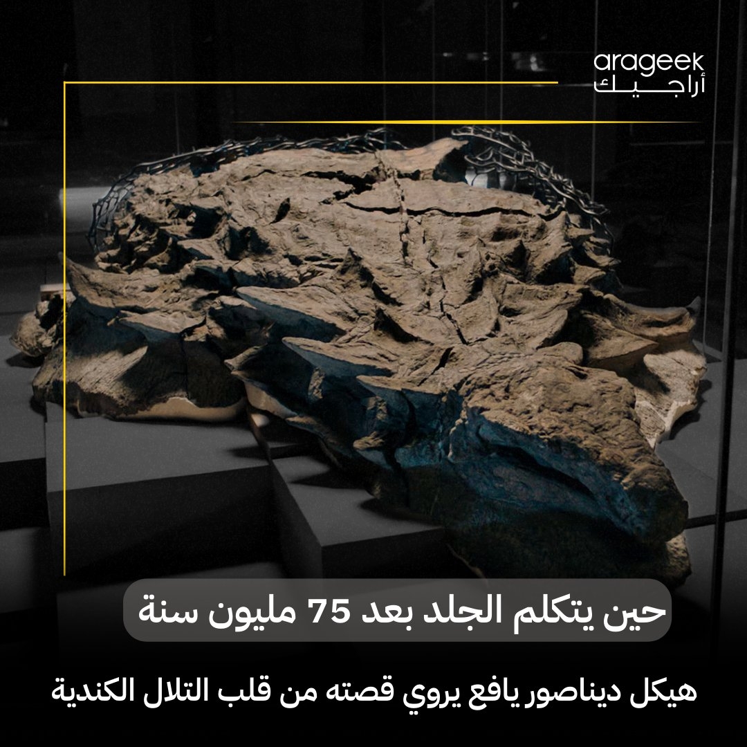 اكتشاف مذهل في ديناصور بارك بكندا! هيكل عظمي شبه مكتمل لديناصور مع جلد متحجر محفوظ بشكل رائع. يفتح هذا الاكتشاف أبواباً لفهم مظهره وسلوكه قبل 75 مليون سنة! تفاصيل أكثر هنا