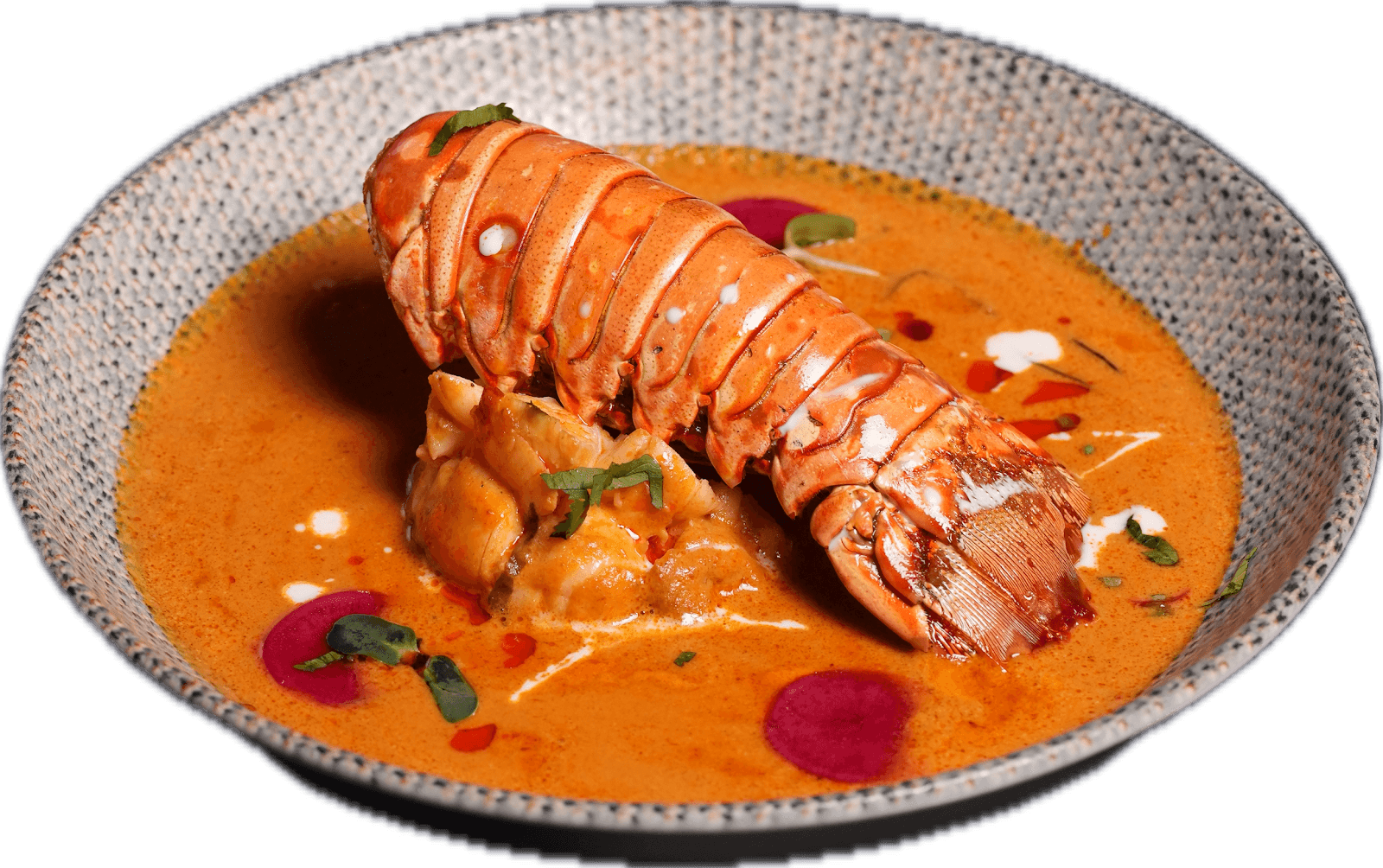 ROOH Officially Opens in Toronto With Focus on Health-Conscious Indian Cuisine