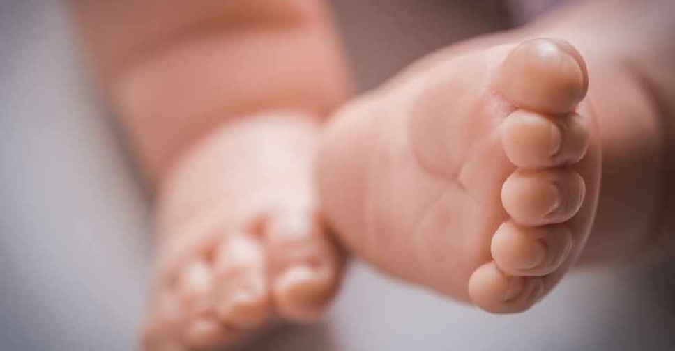 Sharjah approves 'Care Leave' to support female government staff