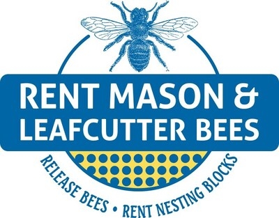 Rent Mason Bees Partners with UC Davis to Combat Rising Houdini Fly Threat to Native Bees