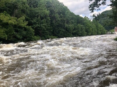 Pigeon River Restoration Efforts Continue with Walleye Release and Enhanced Recreational Opportunities