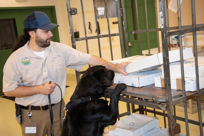 Detector Dogs: Agriculture's Best Friend