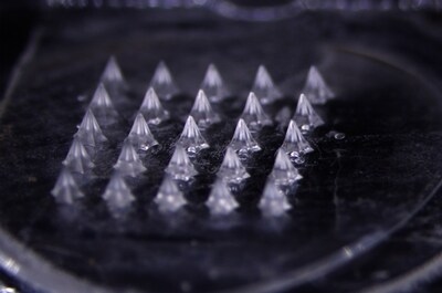 Daewoong Therapeutics Microneedle Patch Achieves Best-in-Class Bioavailability, Proving the Strength of Its Drug-Delivery Platform