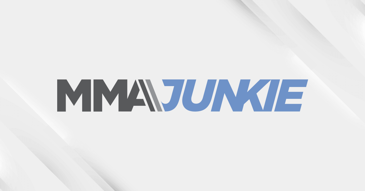 USA TODAY Sports/MMA Junkie rankings, June 17: Former champs on the rise