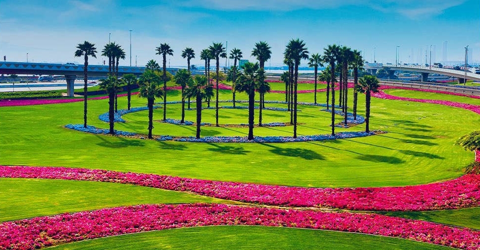Dubai sees major rise in green spaces with over 216,000 new trees