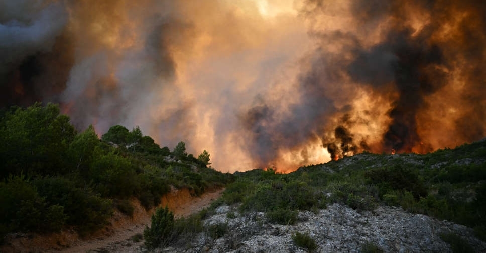 Wildfire in southern France kills one, injures nine