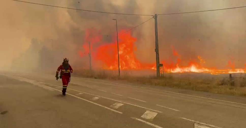 Wildfire near Spanish capital under control as one person dies
