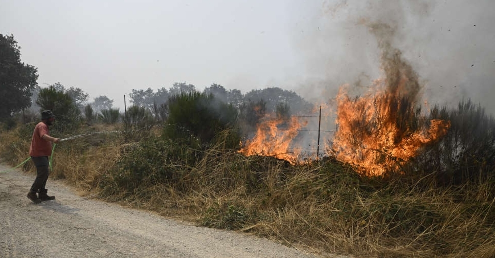 Wildfires fanned by heatwave and strong winds rage across Europe