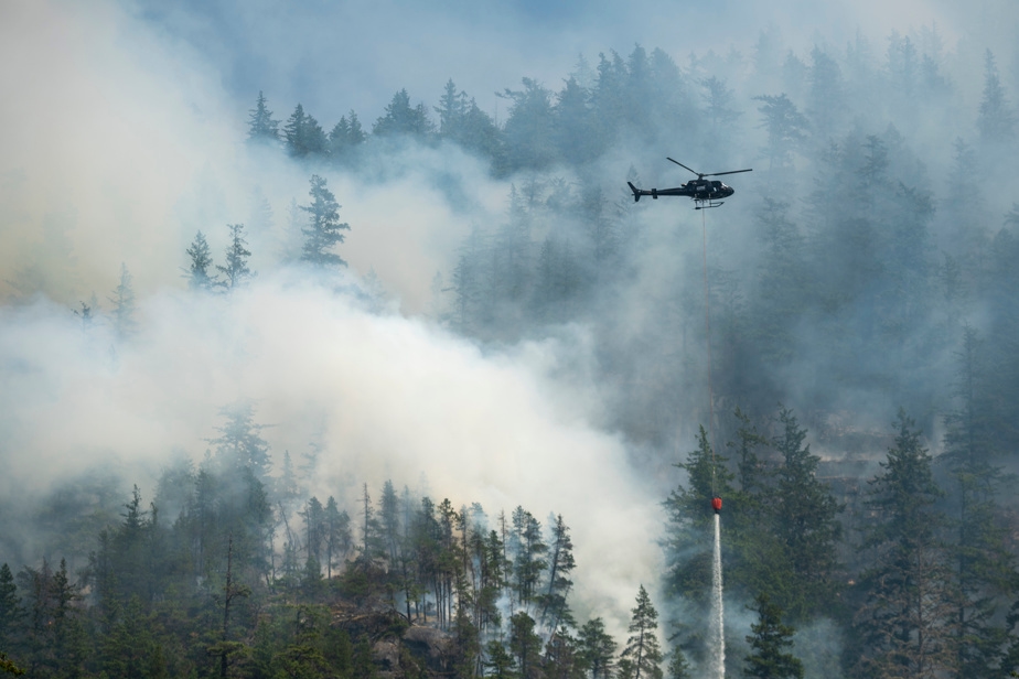 Environ 5,5 millions d'hectares brûlés cette année