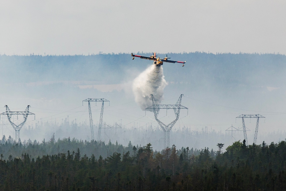 Levée d'un ordre d'évacuation près de St. John's en raison d'un incendie de forêt