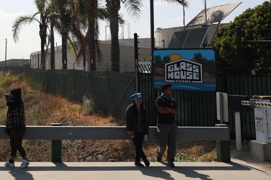 Une descente de la police de l'immigration vire à l'affrontement en Californie