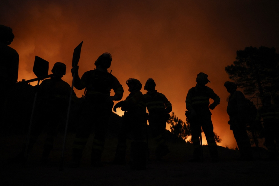 Les pompiers tentent de maîtriser les incendies de forêt