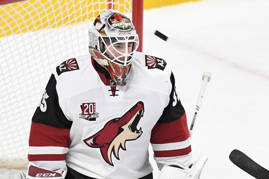 Le gardien québécois Louis Domingue se joint au Sibir de Novossibirsk