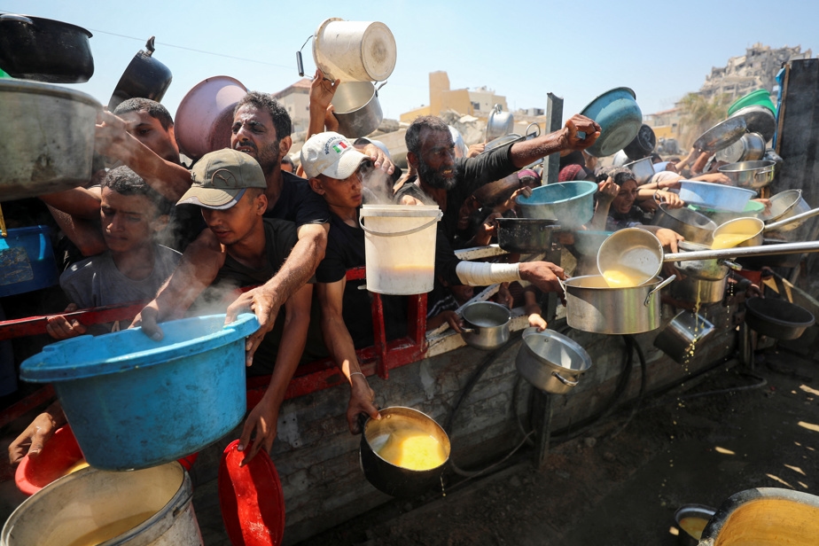 Plus de 100 ONG mettent en garde contre une « famine de masse »