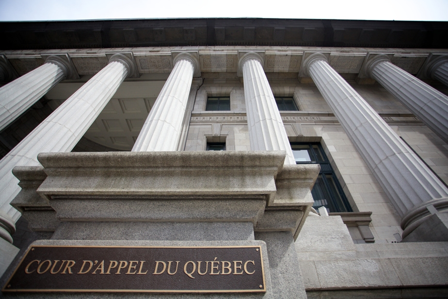 La Cour d'appel écorche un juge pour avoir outrepassé « largement » sa compétence