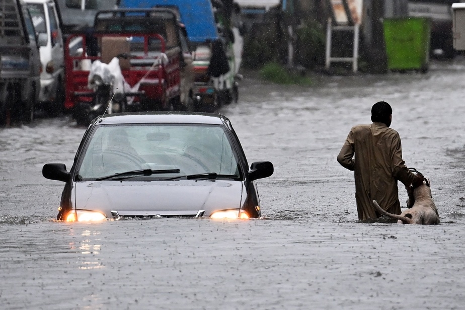 54 morts en 24 heures dans des pluies torrentielles