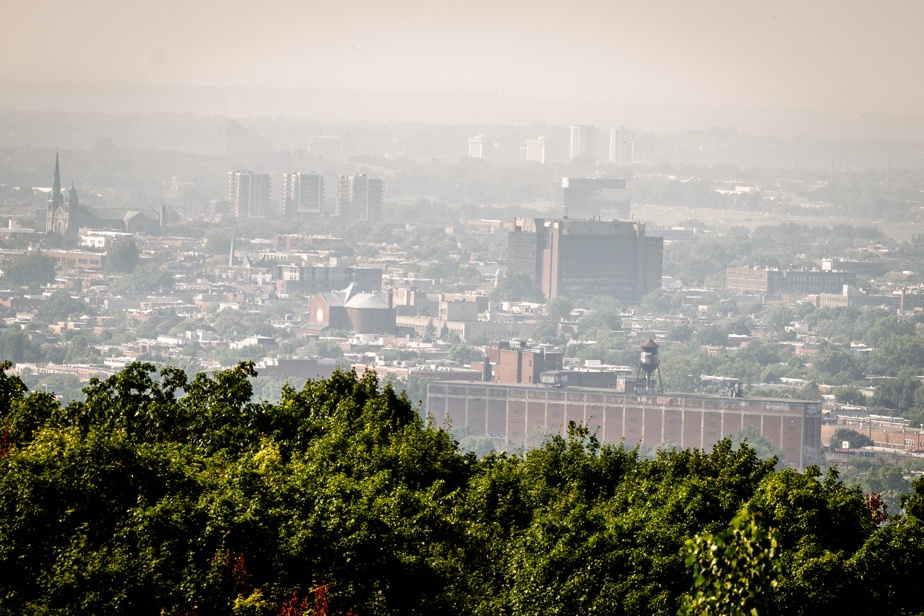 Les épisodes de smog s'accumulent et ont des effets sur la santé à long terme