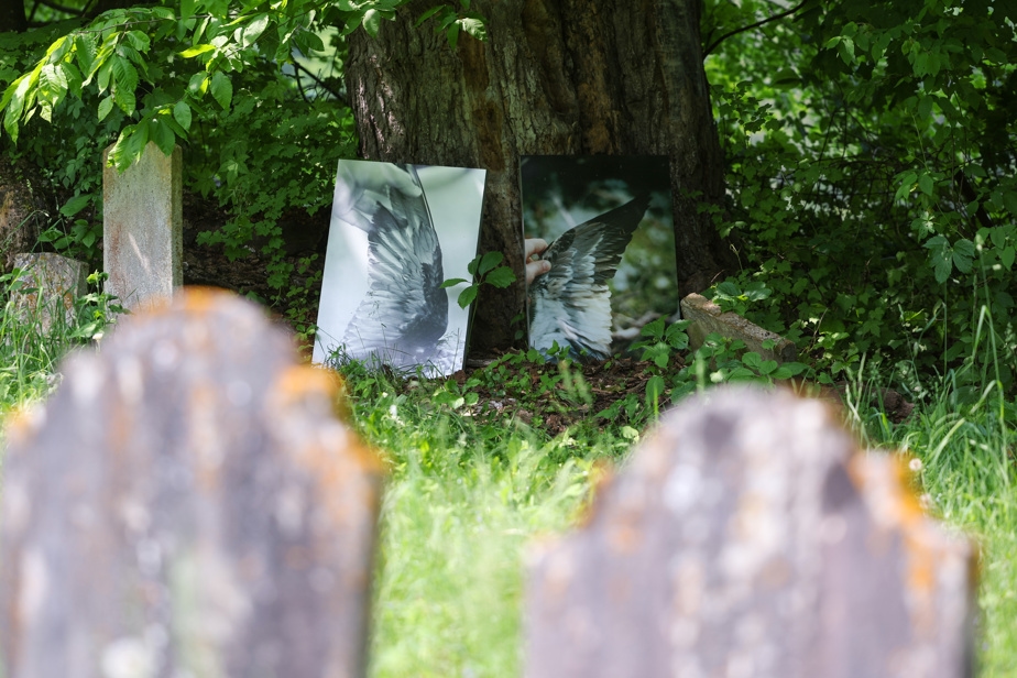 Dimanche matin, dans un cimetière de Frelighsburg